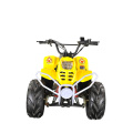 50cc / 70cc / 110cc Kids Mini ATV with One Seat (MDL GA001)